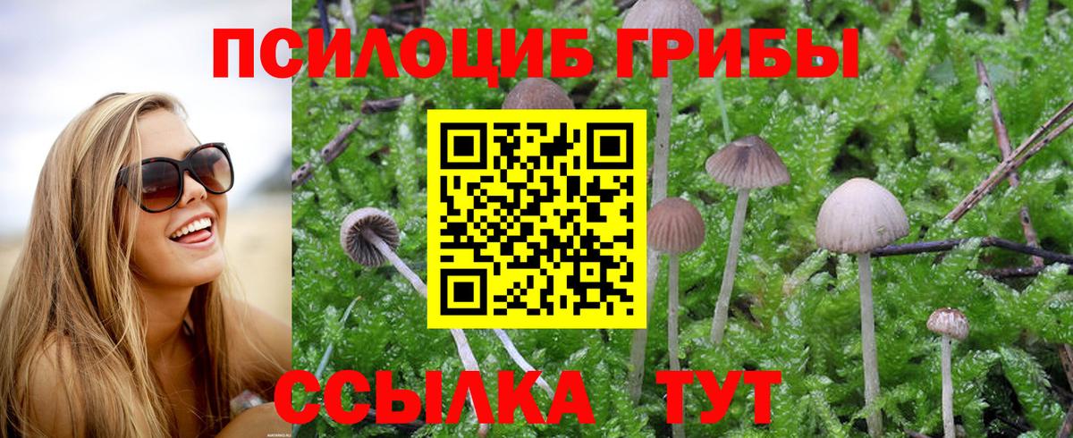 Галлюциногенные грибы мицелий Шадринск