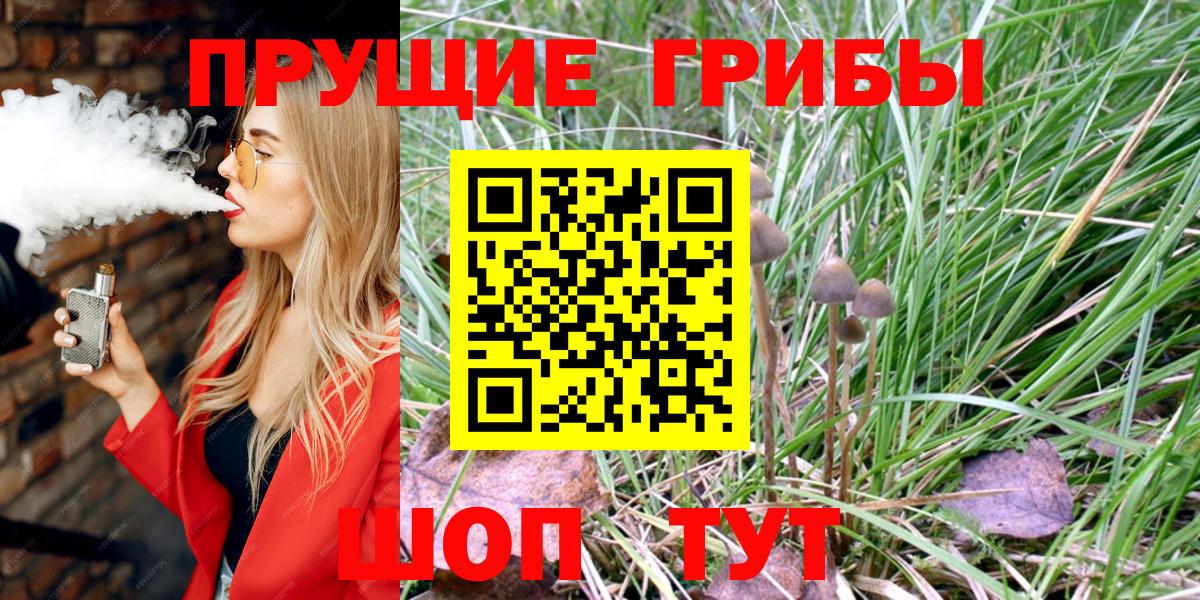Галлюциногенные грибы MAGIC MUSHROOMS  Вход с VPN  Шадринск  Галлюциногенные грибы MAGIC MUSHROOMS 